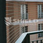 image00093